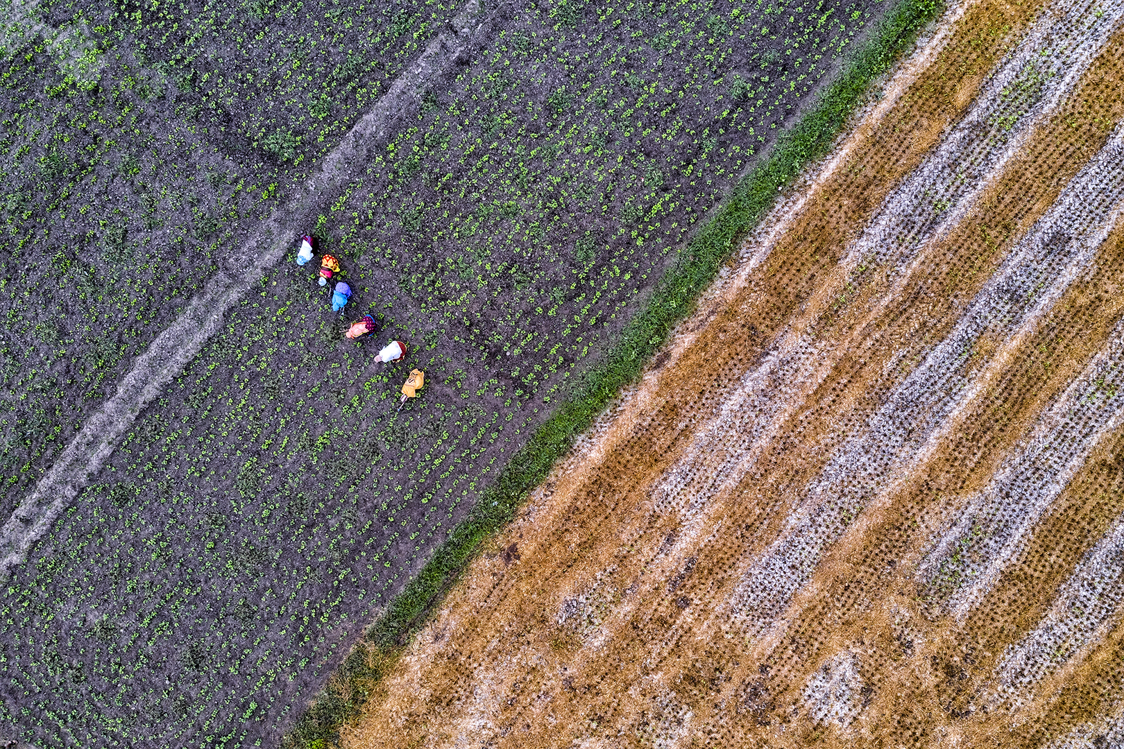 274 | Tamil Nadu 2021